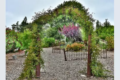 704 Bloomfield Road, Sebastopol, CA 95472 - Photo 46