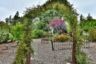 704 Bloomfield Rd, Sebastopol, CA 95472 - Photo 46