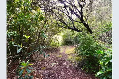 10776 Gurley Lane, Mendocino, CA 95460 - Photo 16