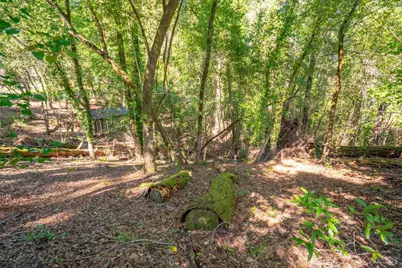 10612 Canyon Road, Forestville, CA 95436 - Photo 6