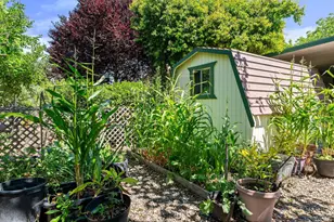 8009 Cliffrose St, Windsor, CA 95492 - Photo 30