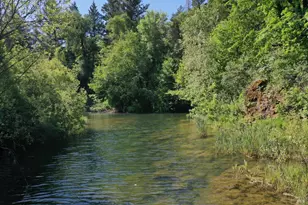 48700 Hwy 101 Hwy, Laytonville, CA 95454 - Photo 30