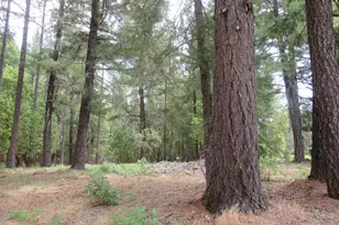 48700 Hwy 101 Hwy, Laytonville, CA 95454 - Photo 16