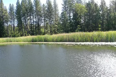 48700 Hwy 101 Highway, Laytonville, CA 95454 - Photo 26