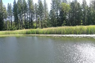 48700 Hwy 101 Hwy, Laytonville, CA 95454 - Photo 26