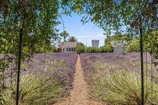 4550 Soda Bay Rd, Kelseyville, CA 95451 - Photo 52