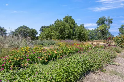 4550 Soda Bay Road, Kelseyville, CA 95451 - Photo 52