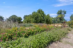4550 Soda Bay Rd, Kelseyville, CA 95451 - Photo 52