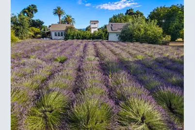 4550 Soda Bay Road, Kelseyville, CA 95451 - Photo 70