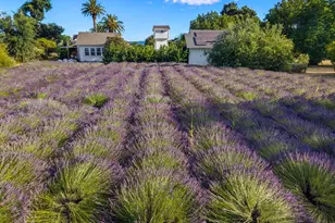 4550 Soda Bay Rd, Kelseyville, CA 95451 - Photo 70