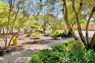 451 W North St, Healdsburg, CA 95448 - Photo 24