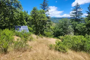 78577 Mina Rd, Covelo, CA 95428 - Photo 2
