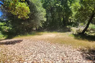 78577 Mina Rd, Covelo, CA 95428 - Photo 10