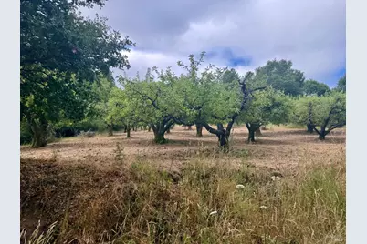 237 Gold Ridge Road, Sebastopol, CA 95472 - Photo 2