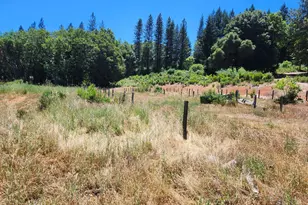 78621 Mina Rd, Covelo, CA 95428 - Photo 6