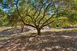 1704 Hurlbut Ln, Sebastopol, CA 95472 - Photo 40