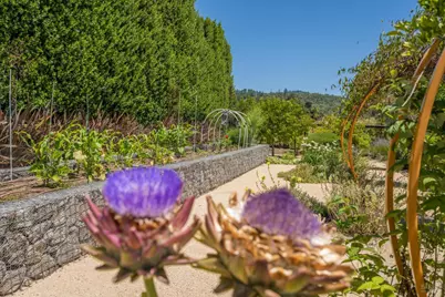 1265 Castle Road, Sonoma, CA 95476 - Photo 12