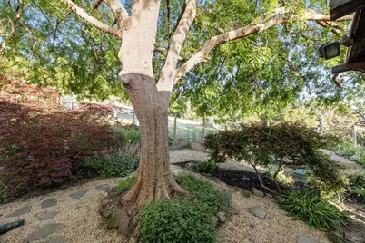 6960 Round Oak Road, Penngrove, CA 94951 - Photo 58