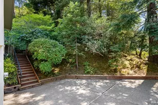 403 Woodland Rd, Kentfield, CA 94904 - Photo 66