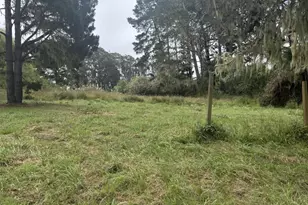 241 Alder Rd, Bolinas, CA 94924 - Photo 1