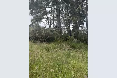 241 Alder Road, Bolinas, CA 94924 - Photo 2