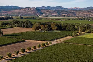 7940 St Helena Hwy, Napa, CA 94558 - Photo 2