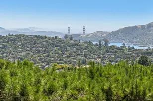 81 Mt Tiburon Rd, Tiburon, CA 94920 - Photo 16