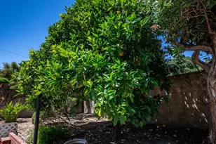 2797 Las Gallinas Ave, San Rafael, CA 94903 - Photo 42