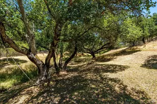 1055 Sundown Trail, Santa Rosa, CA 95404 - Photo 40