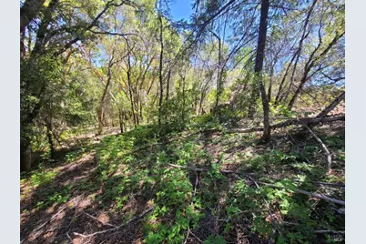 0 0 Pigeon Ridge Road, Covelo, CA 95428 - Photo 12