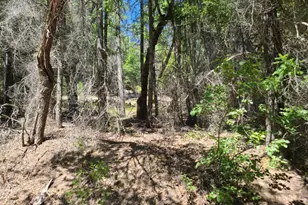 0 0 Pigeon Ridge Rd, Covelo, CA 95428 - Photo 1