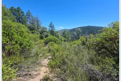 0 0 Pigeon Ridge Road, Covelo, CA 95428 - Photo 6