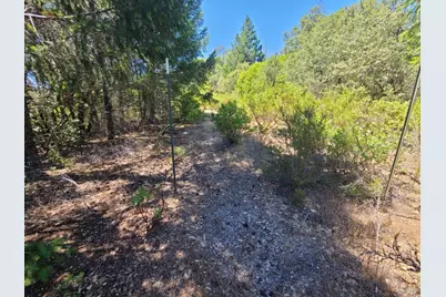0 0 Pigeon Ridge Road, Covelo, CA 95428 - Photo 14