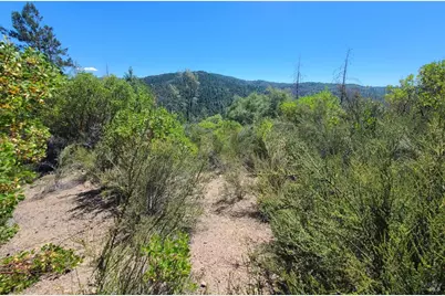 0 0 Pigeon Ridge Road, Covelo, CA 95428 - Photo 4