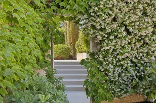 1110 Bale Ln, Calistoga, CA 94515 - Photo 98