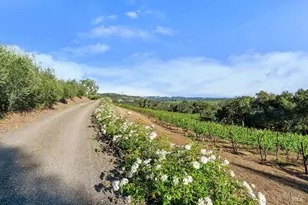 5232 Maacama Ridge Rd, Healdsburg, CA 95448 - Photo 34