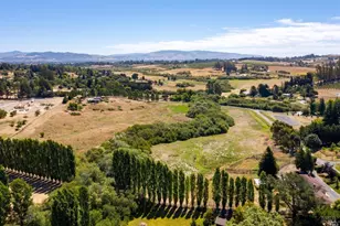 3006 Bloomfield Rd, Sebastopol, CA 95472 - Photo 24