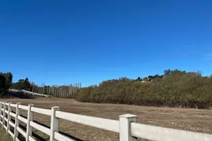 3006 Bloomfield Rd, Sebastopol, CA 95472 - Photo 36