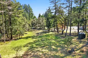 17375 Willow Creek Rd, Occidental, CA 95465 - Photo 76