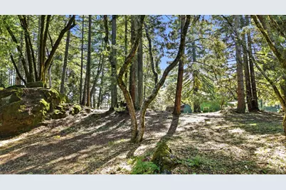 17375 Willow Creek Road, Occidental, CA 95465 - Photo 82