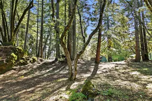 17375 Willow Creek Rd, Occidental, CA 95465 - Photo 82