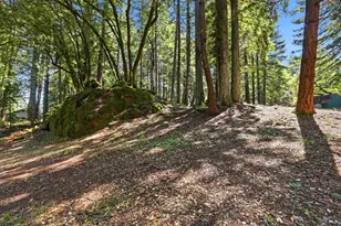 17375 Willow Creek Rd, Occidental, CA 95465 - Photo 6