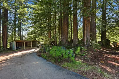 17375 Willow Creek Road, Occidental, CA 95465 - Photo 72