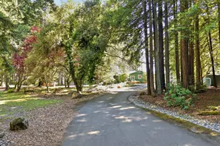 17375 Willow Creek Rd, Occidental, CA 95465 - Photo 4