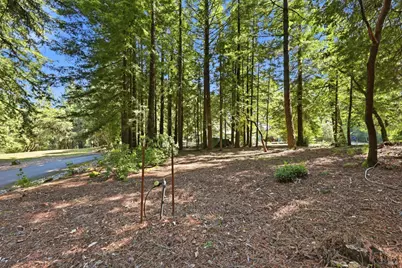 17375 Willow Creek Road, Occidental, CA 95465 - Photo 80