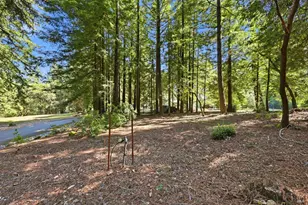 17375 Willow Creek Rd, Occidental, CA 95465 - Photo 80
