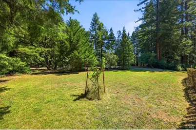 17375 Willow Creek Road, Occidental, CA 95465 - Photo 78