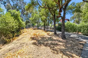 280 Prospect Dr, San Rafael, CA 94901 - Photo 30