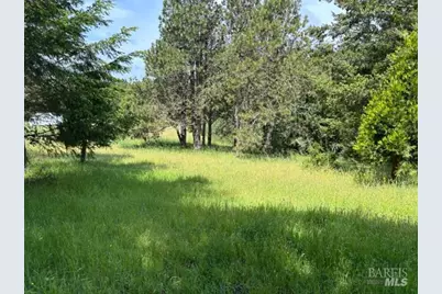 1187 Tannery Creek Road, Bodega, CA 94922 - Photo 8