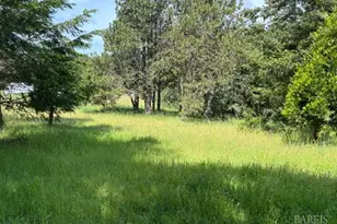 1187 Tannery Creek Rd, Bodega, CA 94922 - Photo 8